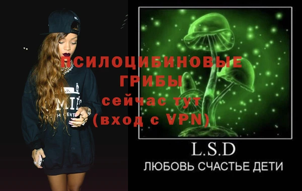не бодяженный Ладушкин