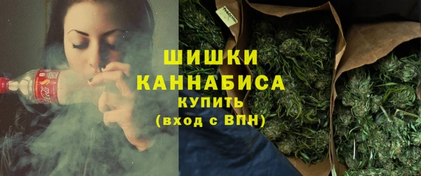 ПСИЛОЦИБИНОВЫЕ ГРИБЫ Лабытнанги
