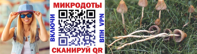 Купить где  Бутурлиновка  Галлюциногенные грибы мицелий 